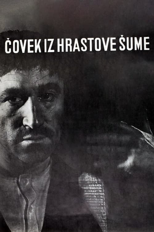Постер: Čovek iz hrastove šume