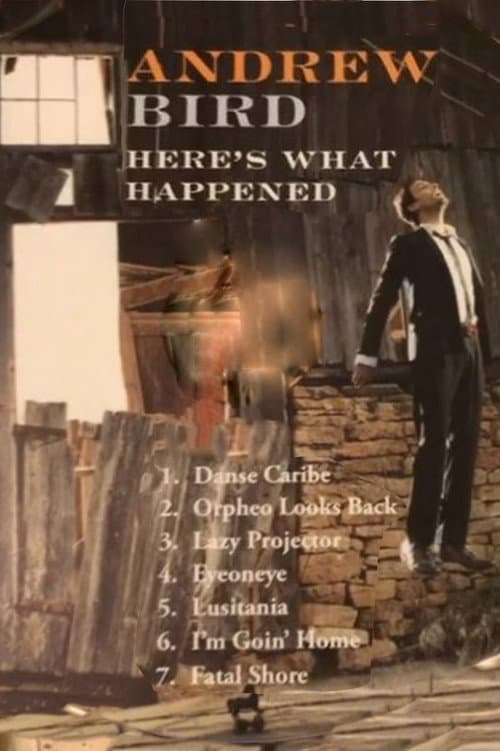 Постер: Andrew Bird: Here's What Happened