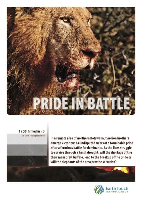Постер: Pride in Battle