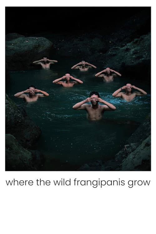 Постер: Where the Wild Frangipanis Grow