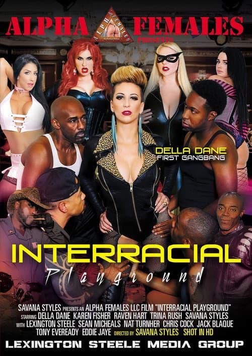 Постер: Interracial Playground