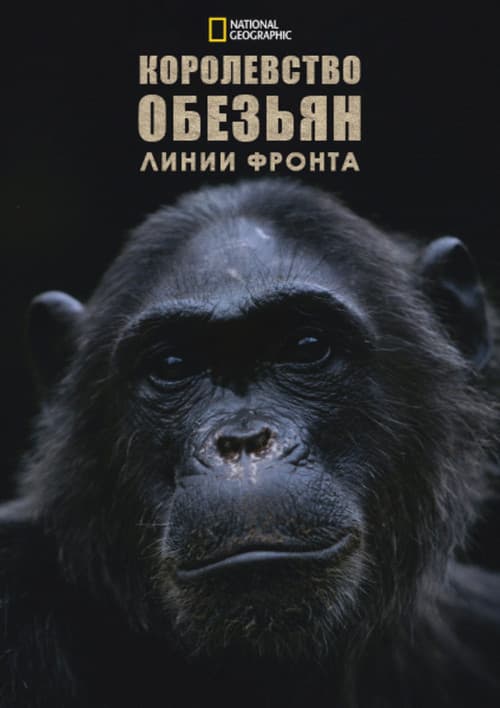 Постер: Королевство обезьян: линии фронта