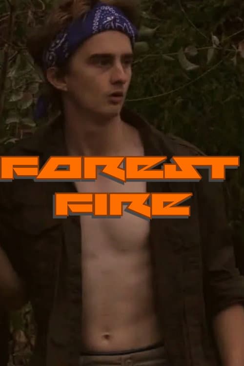 Постер: Forest Fire