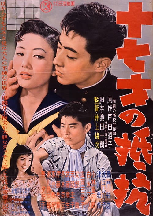 Постер: 十七才の抵抗