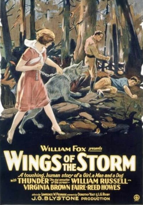 Постер: Wings of the Storm