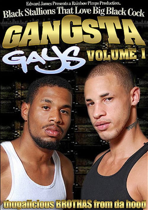 Постер: Gangsta Gays 1