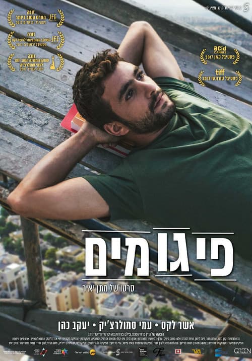 Постер: פיגומים