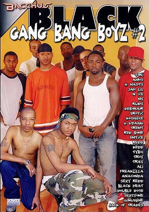 Постер: Black Gang Bang Boyz 2