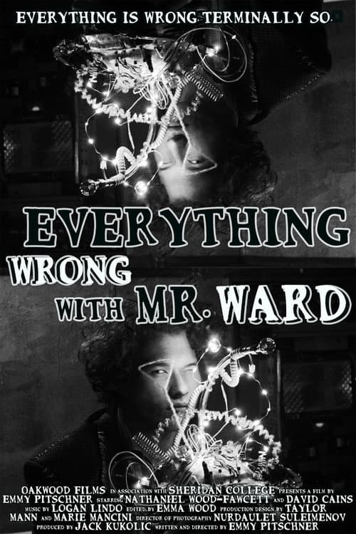 Постер: Everything Wrong with Mr. Ward