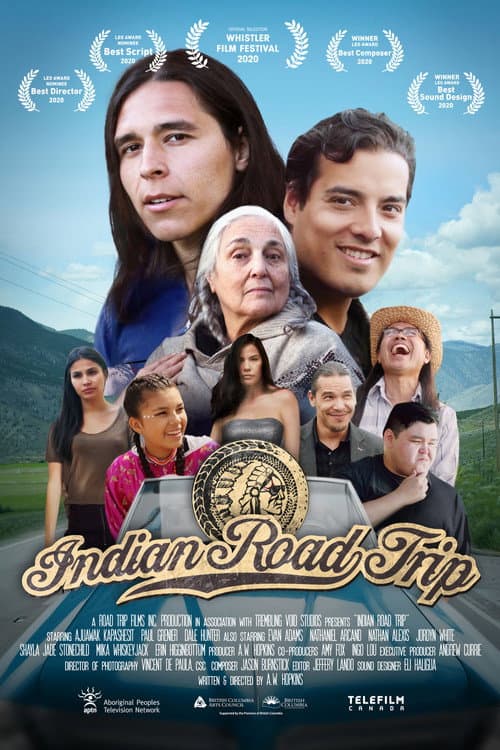 Постер: Indian Road Trip