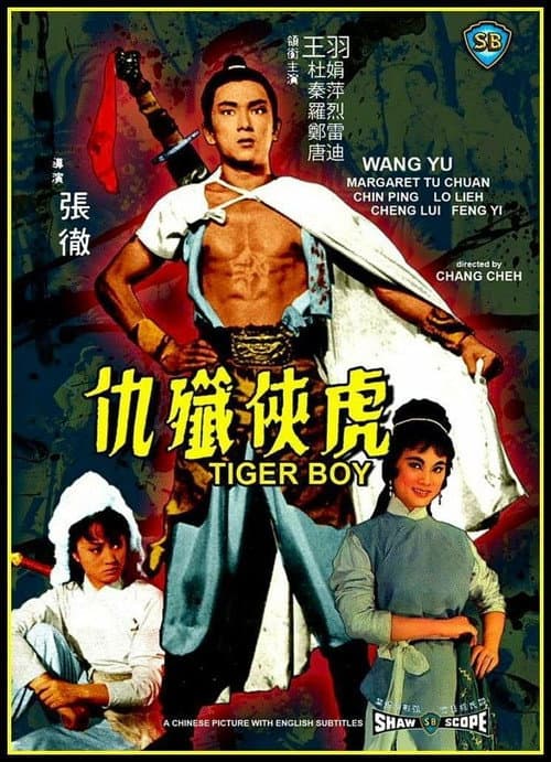 Постер: 虎俠殲仇