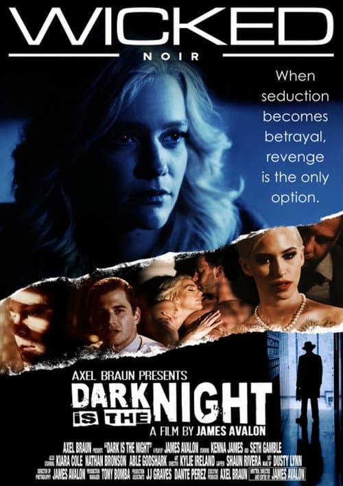 Постер: Dark Is the Night