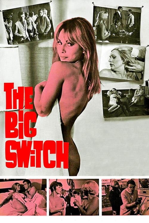 Постер: The Big Switch