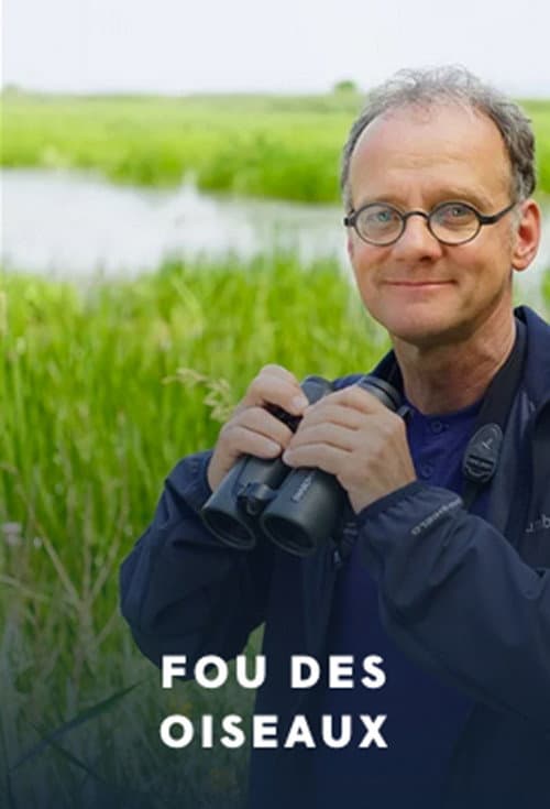 Постер: Fou des oiseaux