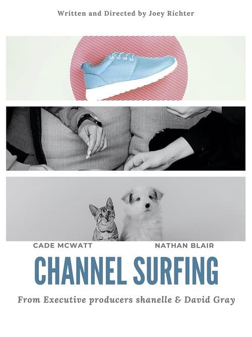 Постер: Channel Surfing