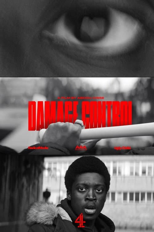 Постер: Damage Control (Enough)