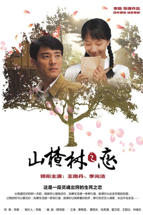 Постер: 山楂树之恋