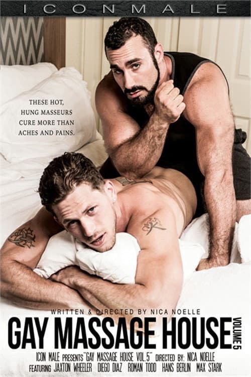 Постер: Gay Massage House 5