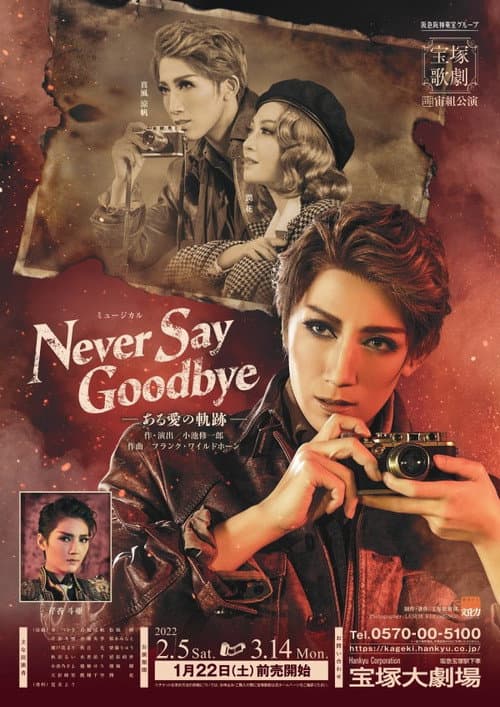 Постер: Never Say Goodbye