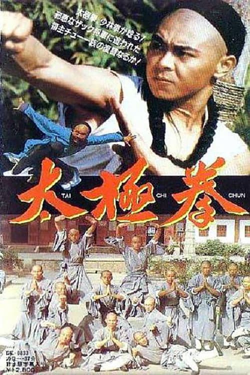 Постер: 太极拳