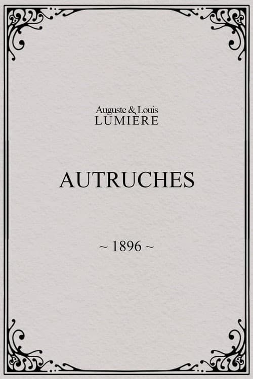 Постер: Autruches