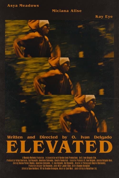 Постер: Elevated