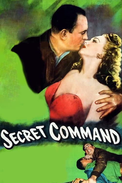 Постер: Secret Command