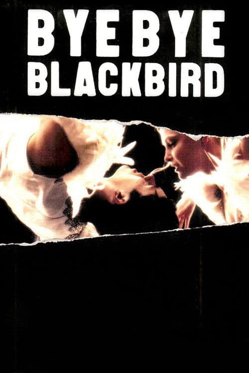 Постер: Bye Bye Blackbird
