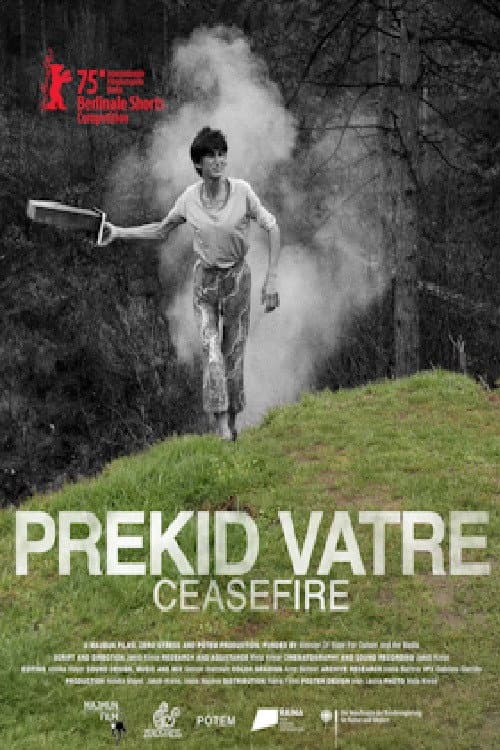Постер: Prekid vatre