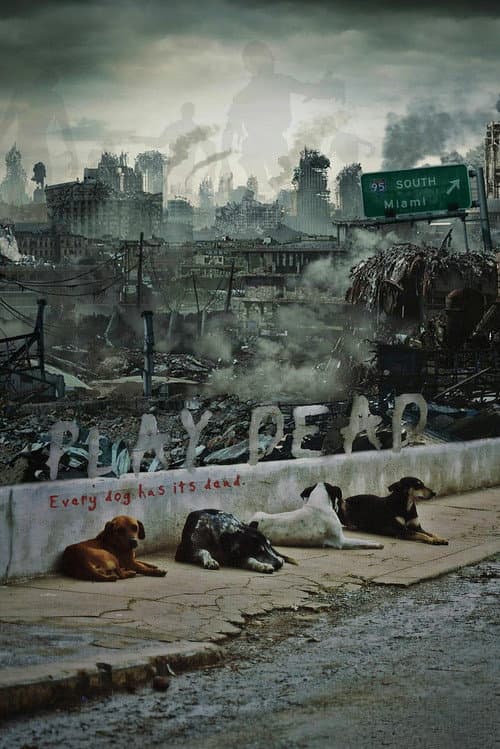 Постер: Play Dead