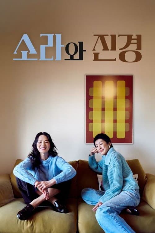 Постер: 소라와 진경