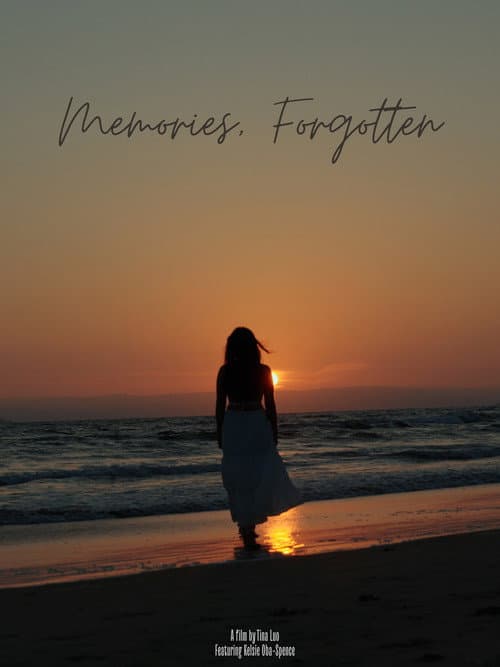 Постер: Memories, Forgotten