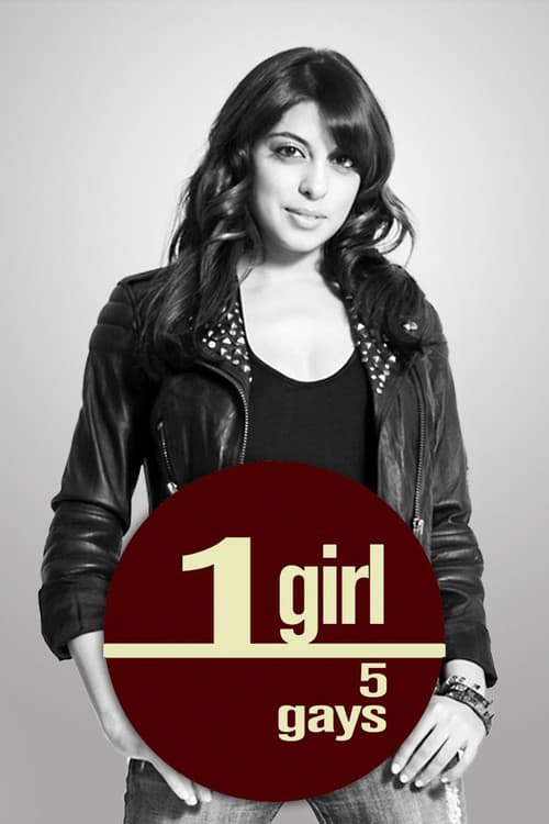 Постер: 1 Girl 5 Gays