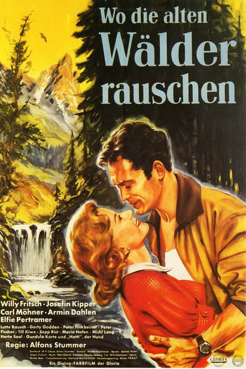 Постер: Wo die alten Wälder rauschen