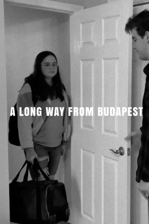 Постер: A Long Way from Budapest