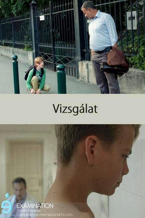 Постер: Vizsgálat