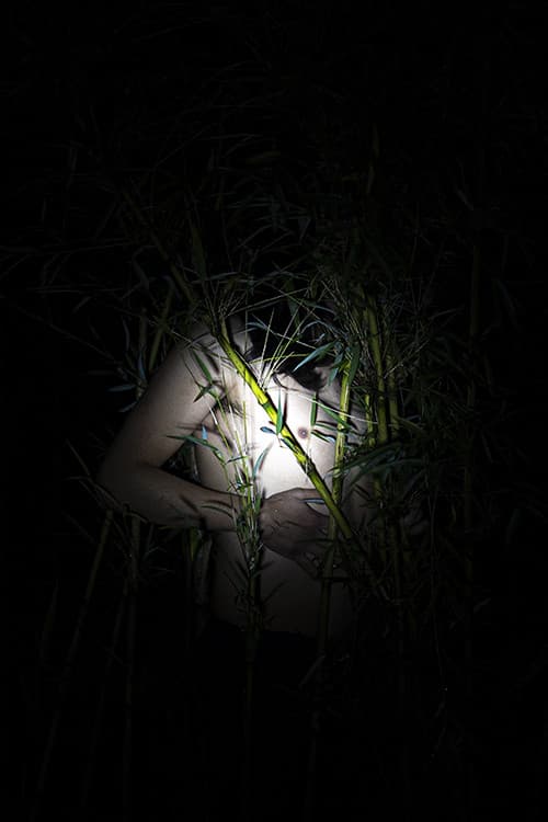 Постер: Las quilas