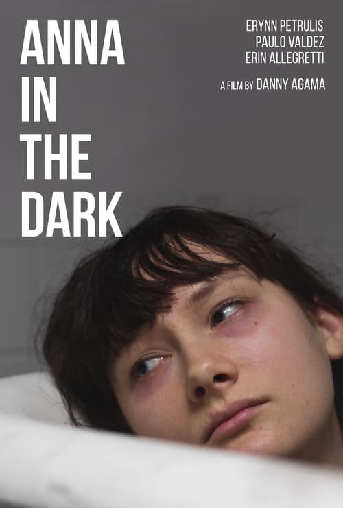 Постер: Anna in the Dark