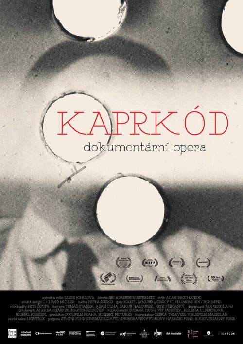 Постер: KaprKód