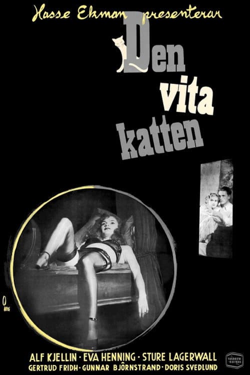 Постер: Den vita katten