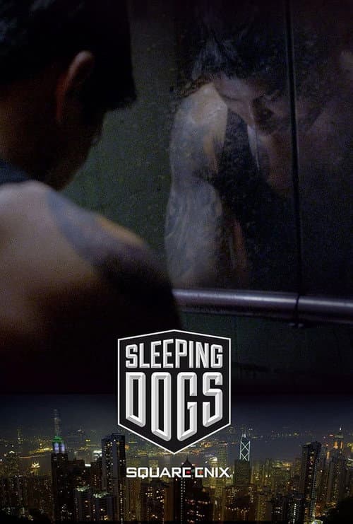 Постер: Sleeping Dogs