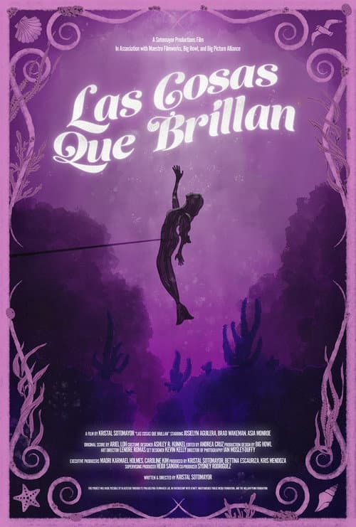 Постер: Las Cosas Que Brillan