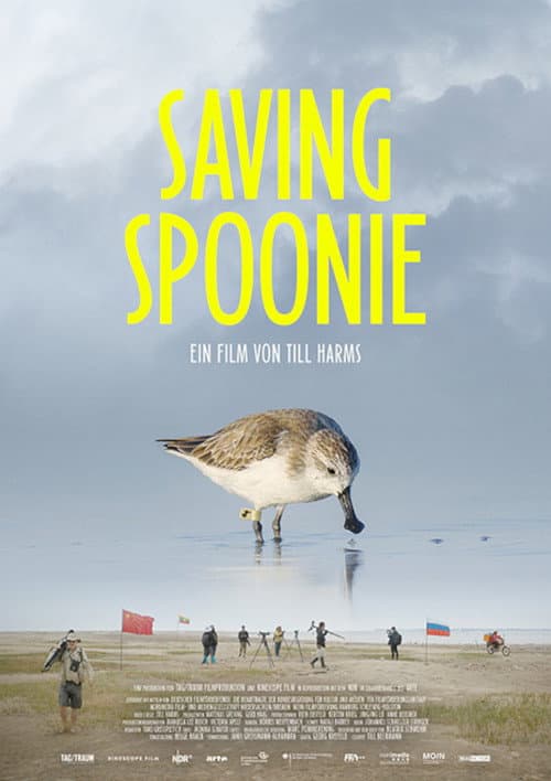Постер: Saving Spoonie