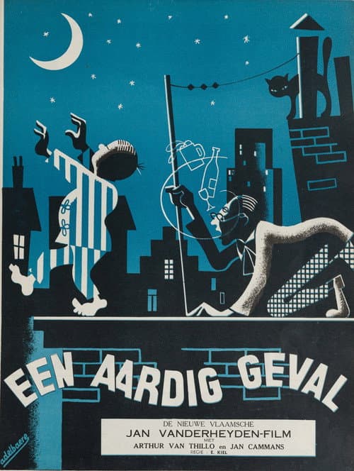Постер: Een aardig geval
