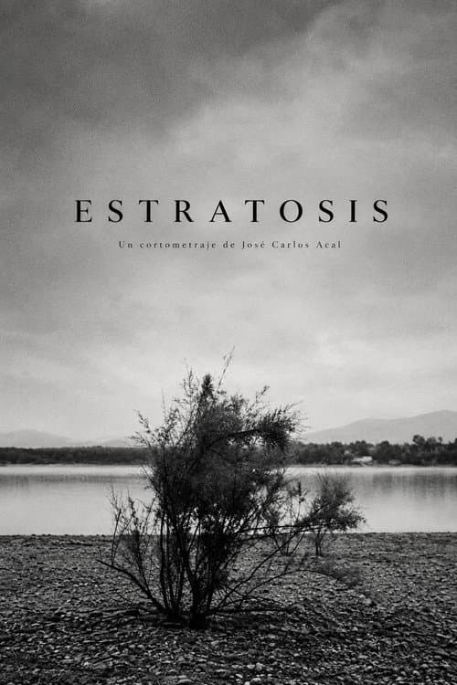 Постер: ESTRATOSIS