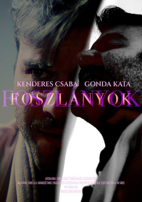 Постер: FOSZLÁNYOK