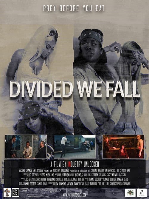 Постер: Divided We Fall