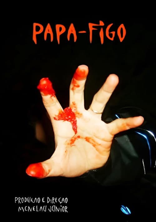 Постер: Papa Figo - O Filme