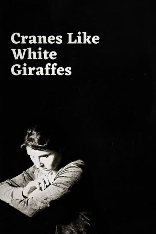 Постер: Cranes Like White Giraffes