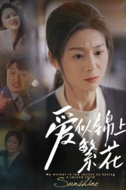Постер: 爱似锦上繁花
